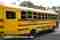 Laid Law School Buses